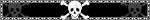A button with three white skulls and crossbones on a black background, framed by an animated border.